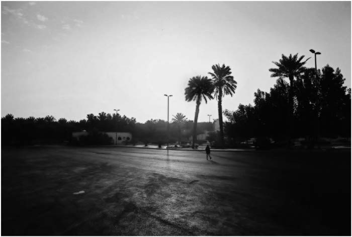 palms